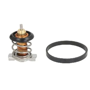 Termostat, rashladna tečnost VERNET TH9283.88J IC-DCD421