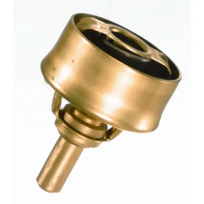 Termostat, rashladna tečnost WAHLER WA3029.89 IC-282064