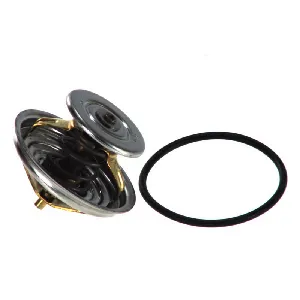 Termostat, rashladna tečnost WAHLER WA4078.79D IC-375153