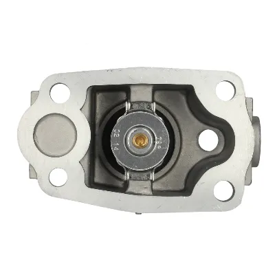 Termostat, rashladna tečnost WAHLER WA410081.79D IC-C6B0EA