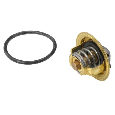 Termostat, rashladna tečnost WAHLER WA410537.92D IC-C3E54C
