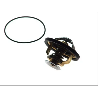 Termostat, rashladna tečnost WAHLER WA4174.82D IC-A1C862