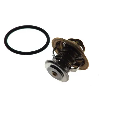 Termostat, rashladna tečnost WAHLER WA4255.92D IC-282124