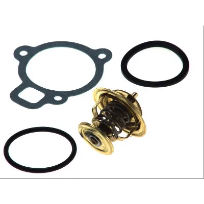 Termostat, rashladna tečnost WAHLER WA4256.87D50 IC-282127