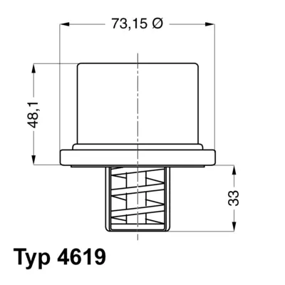 Termostat, rashladna tečnost WAHLER WA4619.75 IC-A9534C