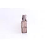 Uljni hladnjak, ulje za motor NISSENS NIS 91112 IC-E5ECA7