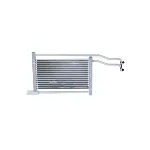 Uljni hladnjak, ulje za motor NRF NRF 31137 IC-C0820A