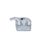 Uljni hladnjak, ulje za motor NRF NRF 31322 IC-DEB3E9