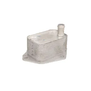 Uljni hladnjak, ulje za motor THERMOTEC D405003TT IC-E2D9B6