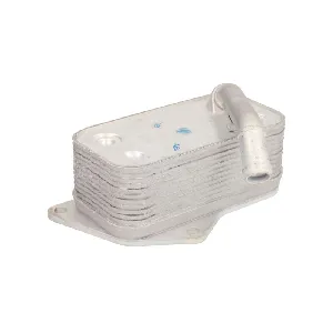 Uljni hladnjak, ulje za motor THERMOTEC D4B004TT IC-E2D98F