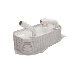 Uljni hladnjak, ulje za motor THERMOTEC D4B016TT IC-E32FA4
