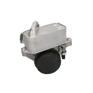 Uljni hladnjak, ulje za motor THERMOTEC D4B020TT IC-F670A3