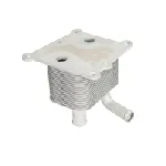 Uljni hladnjak, ulje za motor THERMOTEC D4G011TT IC-E2D9B0
