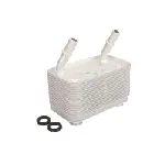 Uljni hladnjak, ulje za motor THERMOTEC D4I001TT IC-E2D9D5