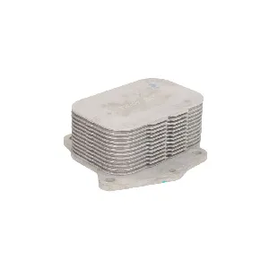 Uljni hladnjak, ulje za motor THERMOTEC D4P001TT IC-E2D9CD