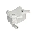 Uljni hladnjak, ulje za motor THERMOTEC D4X015TT IC-G0P35S