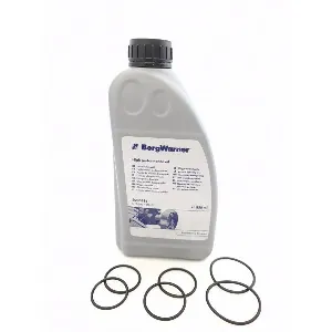 Upravljački mehanizam BORG WARNER BW100255_2000884 IC-G0QNT1