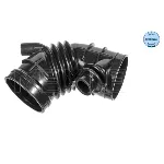 Usisna cev, sistem za dovod vazduha MEYLE 300 137 1107 IC-E541C8
