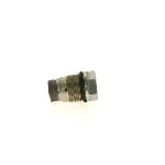 Ventil za ograničenje pritiska, Common-rail sistem BOSCH 1 110 010 012 IC-AEAF95 Ventil za ograničenje pritiska, Common-rail sistem BOSCH 1 110 010 012 IC-AEAF95