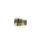 Ventil za ograničenje pritiska, Common-rail sistem BOSCH 1 110 010 012 IC-AEAF95 Ventil za ograničenje pritiska, Common-rail sistem BOSCH 1 110 010 012 IC-AEAF95