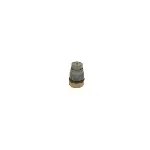 Ventil za ograničenje pritiska, Common-rail sistem BOSCH 1 110 010 022 IC-C3DF6E Ventil za ograničenje pritiska, Common-rail sistem BOSCH 1 110 010 022 IC-C3DF6E
