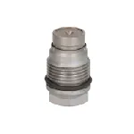 Ventil za ograničenje pritiska, Common-rail sistem BOSCH 1 110 010 027 IC-C3DF76 Ventil za ograničenje pritiska, Common-rail sistem BOSCH 1 110 010 027 IC-C3DF76