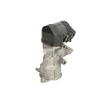 Ventil za recirkulaciju DELPHI EG10395-12B1 IC-B8BA13