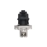 Ventil za recirkulaciju DELPHI EG10478-12B1 IC-G0QBY6