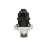 Ventil za recirkulaciju DELPHI EG10496-12B1 IC-G0QBYA