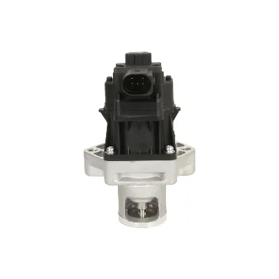 Ventil za recirkulaciju DELPHI EG10496-12B1 IC-G0QBYA