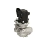 Ventil za recirkulaciju DELPHI EG10507-12B1 IC-G0QBYB