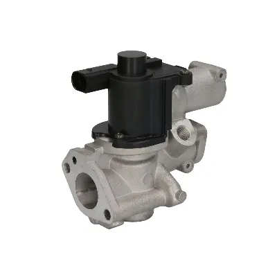 Ventil za recirkulaciju DELPHI EG10509-12B1 IC-G0UMUD