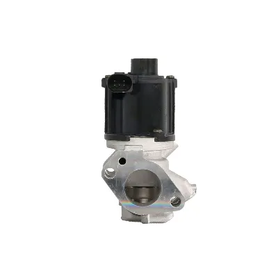 Ventil za recirkulaciju DELPHI EG10509-12B1 IC-G0UMUD