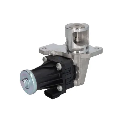 Ventil za recirkulaciju DELPHI EG10553-12B1 IC-G0UOSH