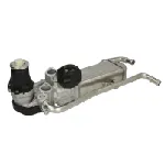 Ventil za recirkulaciju DELPHI EG10589-12B1 IC-G0UOSQ