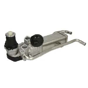 Ventil za recirkulaciju DELPHI EG10589-12B1 IC-G0UOSQ