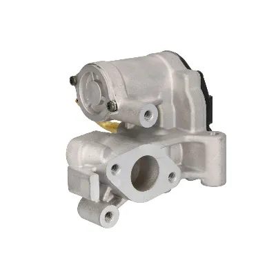 Ventil za recirkulaciju MAGNETI MARELLI 571822112129 IC-F6514C