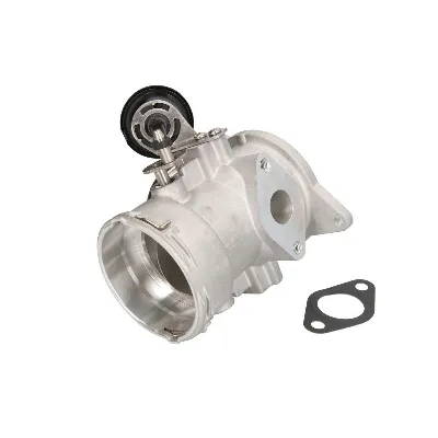 Ventil za recirkulaciju MAGNETI MARELLI 571822112149 IC-F65160