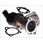 Ventil za recirkulaciju PIERBURG 7.00020.39.0 IC-C00D31