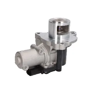 Ventil za recirkulaciju PIERBURG 7.09002.17.0 IC-G10BWG