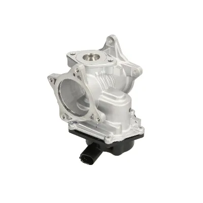 Ventil za recirkulaciju PIERBURG 7.24809.93.0 IC-G0R20F