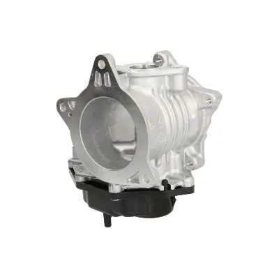 Ventil za recirkulaciju PIERBURG 7.24809.93.0 IC-G0R20F