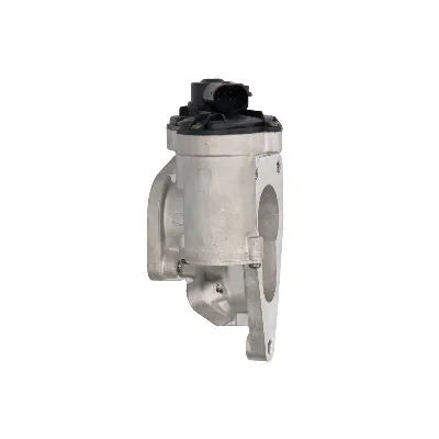 Ventil za recirkulaciju WAHLER WA710938D/1 IC-G0VLXG