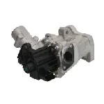 Ventil za recirkulaciju WAHLER WA710975D/1 IC-G0VLWY