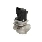 Ventil za recirkulaciju WAHLER WA711020D IC-G0TCGN