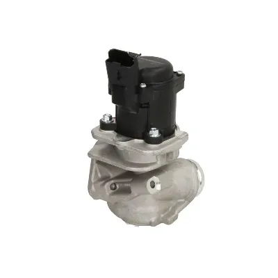 Ventil za recirkulaciju WAHLER WA711020D IC-G0TCGN