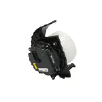 Ventilator kabine/unutrašnjeg prostora VALEO VAL698576 IC-E13FA9