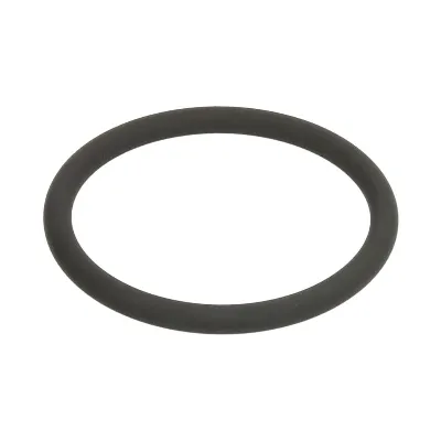 Zaptivka, čep rezervoara za gorivo SCHMITZ SCH1125284 IC-G0TXX2