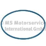 Zaptivka, davač nivoa u rezervoaru PIERBURG 3.32038.00.0 IC-C0134D