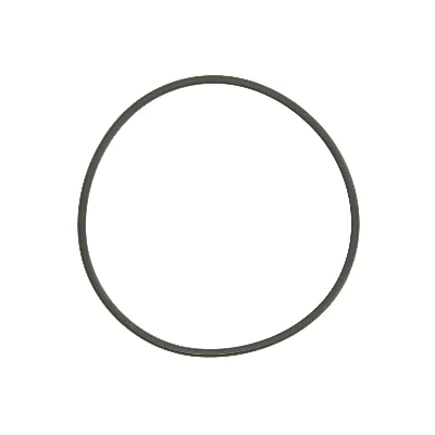 Zaptivka, davač nivoa u rezervoaru PIERBURG 3.32038.02.0 IC-C01356